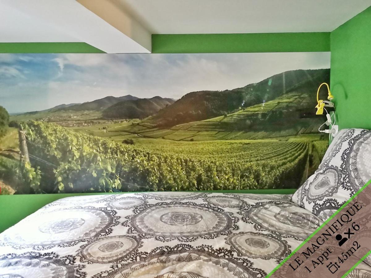 Splendide Appartement Barr - Route Du Vins Luaran gambar