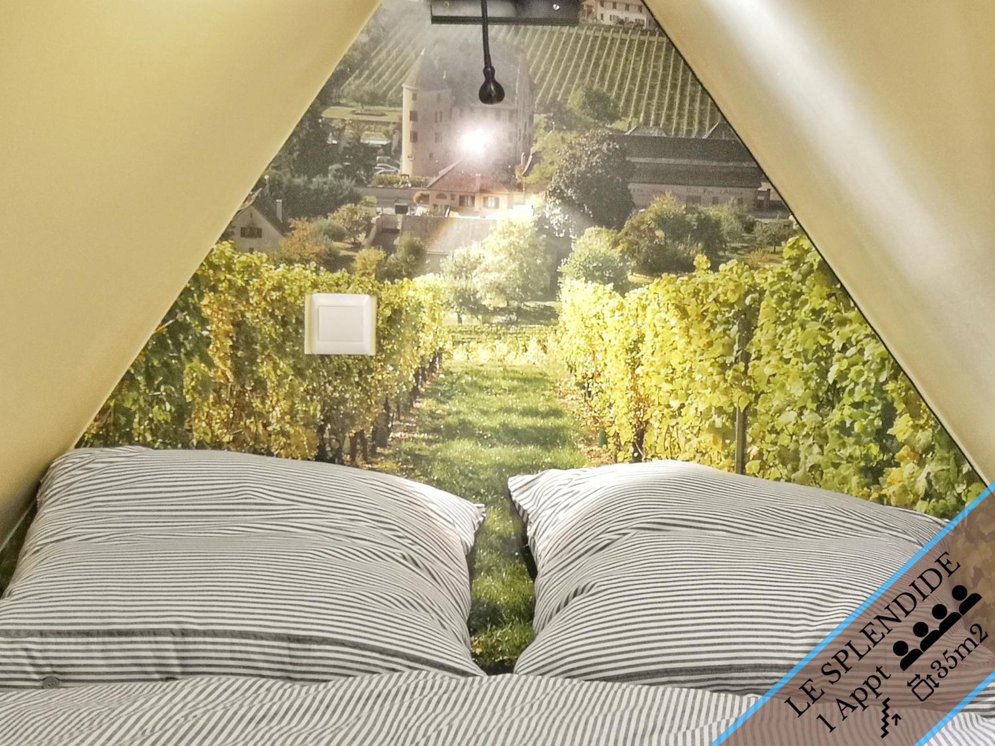 Splendide Appartement Barr - Route Du Vins Bilik gambar